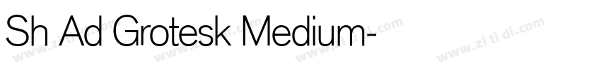 Sh Ad Grotesk Medium字体转换